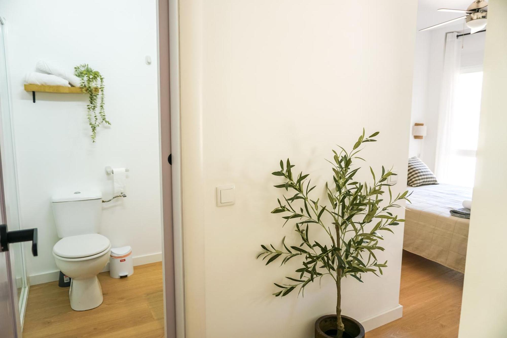 Apartamento El Olivo Alicante Exteriör bild